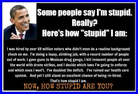 I'm stupid, Really? Obama or the Electorate
